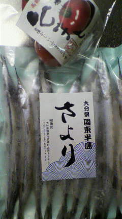 P1000548.jpg