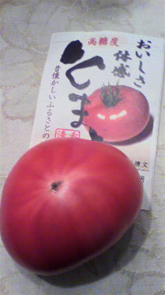 P1000577.jpg