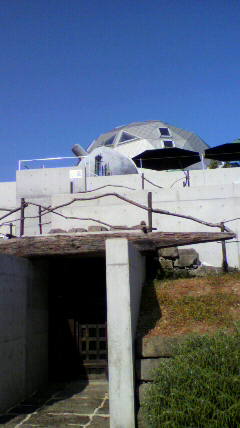 P1000993.jpg
