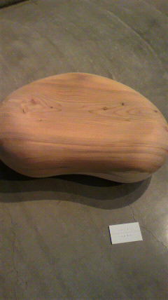 P1001109.jpg